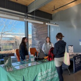A student learning about sharks
