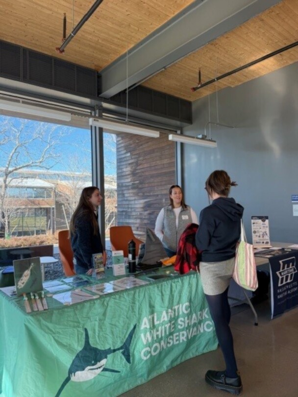 A student learning about sharks