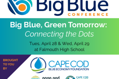 Big Blue Social Banner