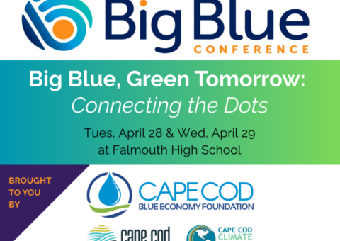 Big Blue Social Banner