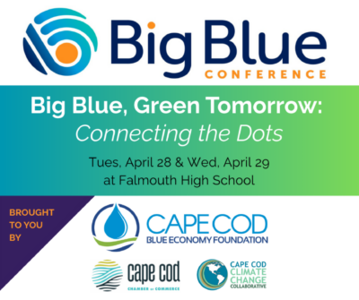 Big Blue Social Banner