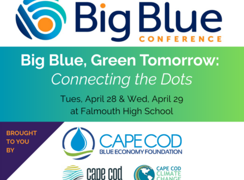 Big Blue Social Banner