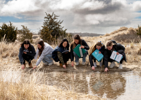 ARII Classroom Web 42