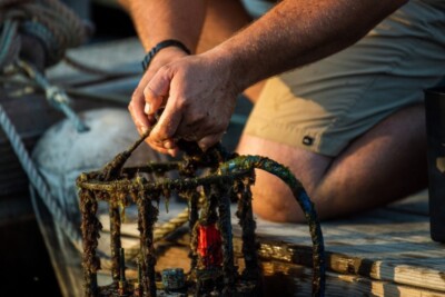WHOI press release 7 14 26