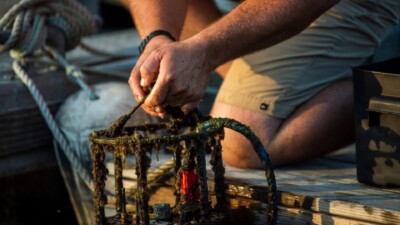 WHOI press release 7 14 26