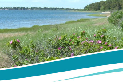 Waquoit Bay National Estuarine Reserve