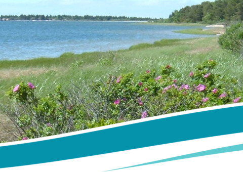 Waquoit Bay National Estuarine Reserve
