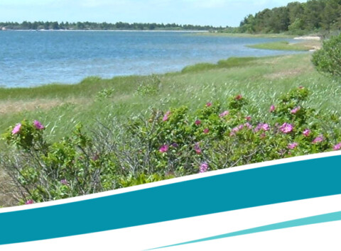Waquoit Bay National Estuarine Reserve