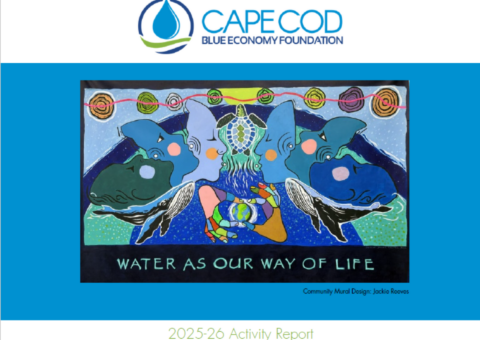 2026 Activity Report Cover Image