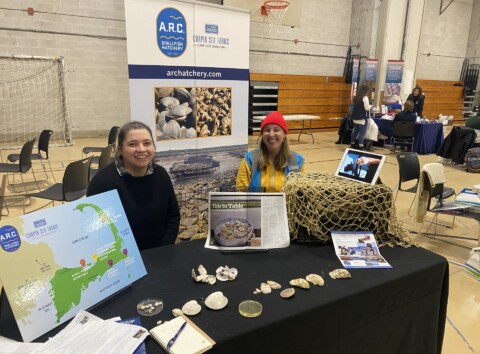 Wworksarcstarrabby24