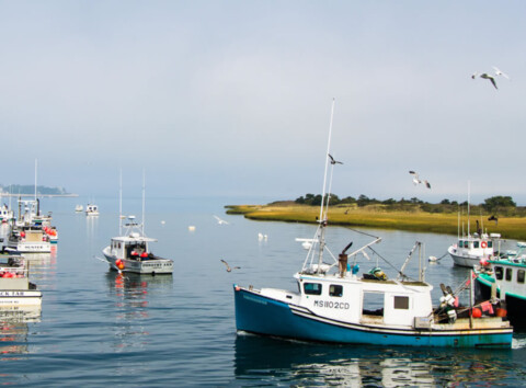Cape Cod Fisherman's… | Cape Cod Blue Economy Foundation, Inc.
